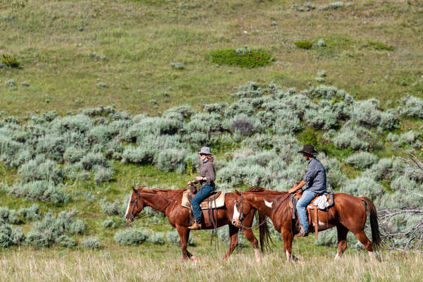 A cheval dans les paysages du Montana