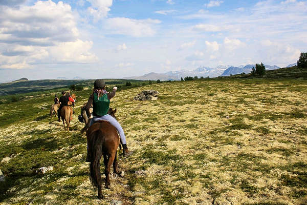 Rando à cheval en été en Norvège