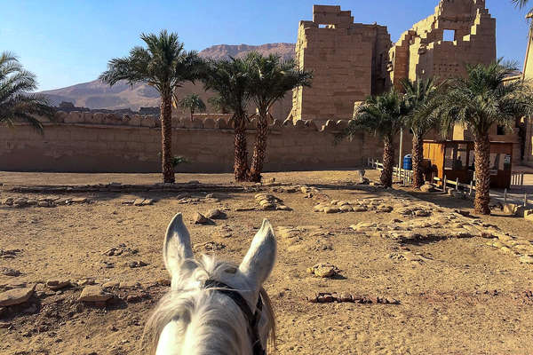 A cheval dans les temples en Egypte