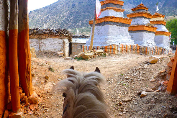 A cheval dans un village du Mustang