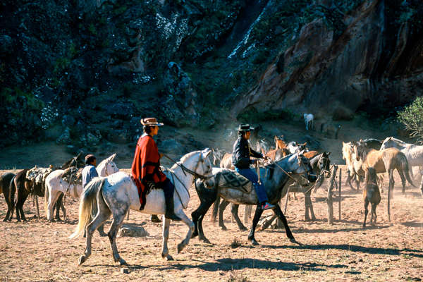 A cheval en Argentine dans la région de Salta