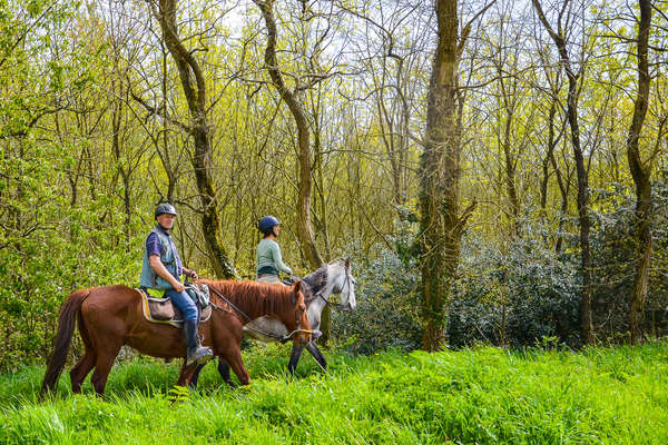 A cheval en Bretagne