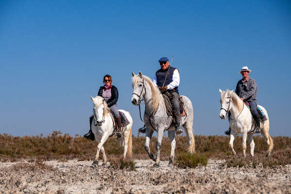 A cheval en Camargue