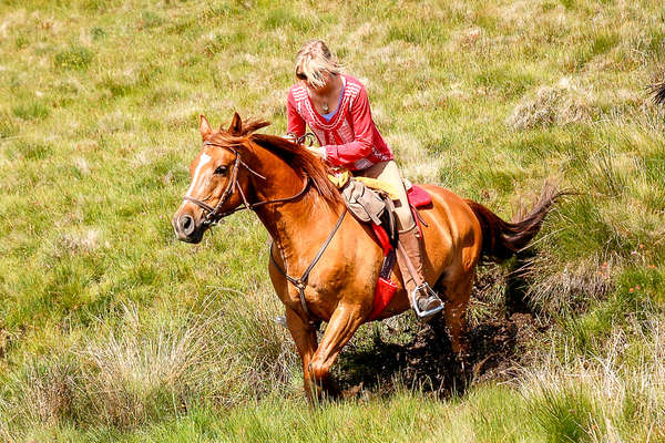 A cheval en Castille
