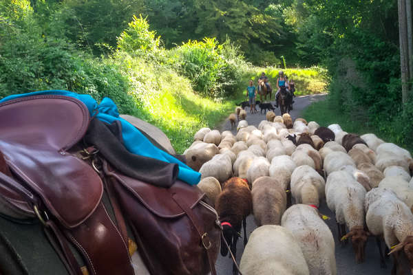 A cheval en Dordogne