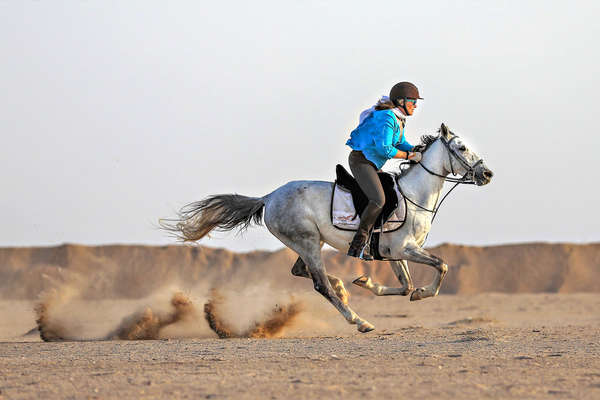 A cheval en Egypte
