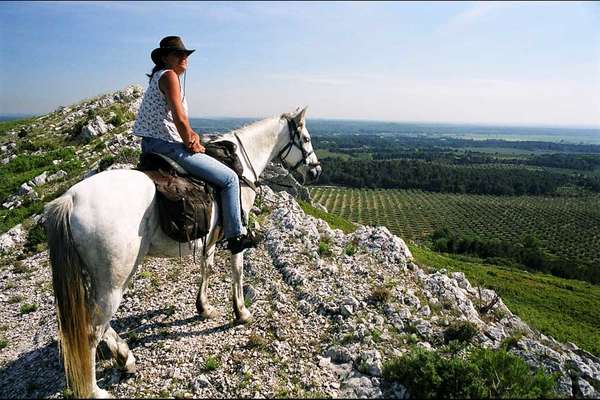 Haute Provence à cheval