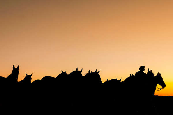 A cheval en Patagonie