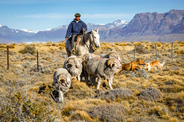 A cheval en Patagonie