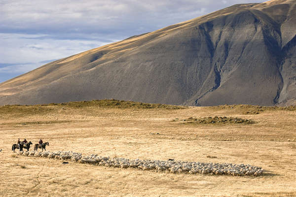 A cheval en Patagonie