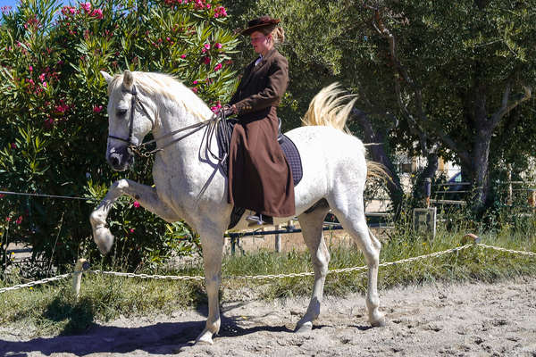 A cheval en Provence