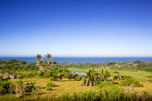 A cheval entre terre et mer sur la Wild Coast