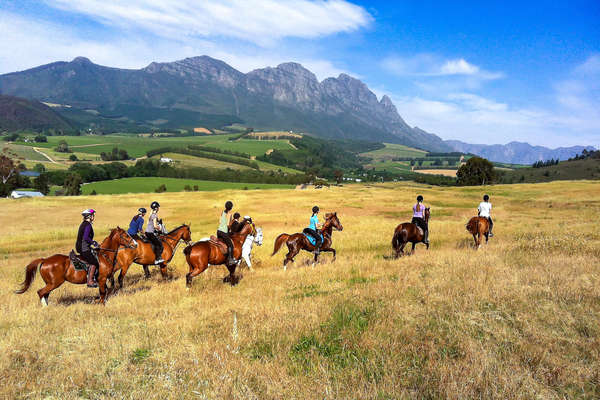 A cheval près du Cap