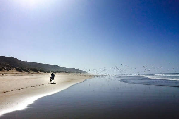 A cheval sur la plage au Maroc