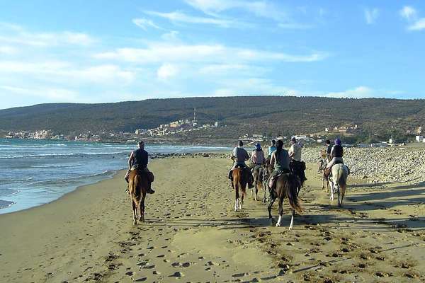 Chevaux et plage au Maroc