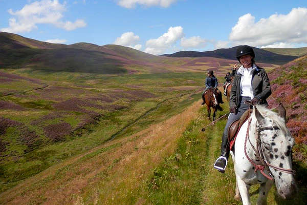 Chemins verdoyants à cheval