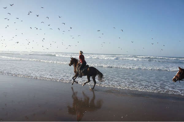 Randonnée à cheval au Maroc