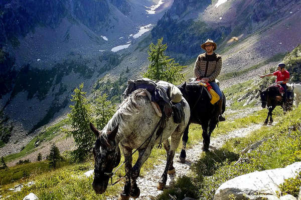 Chevaux en randonnée au Mercantour