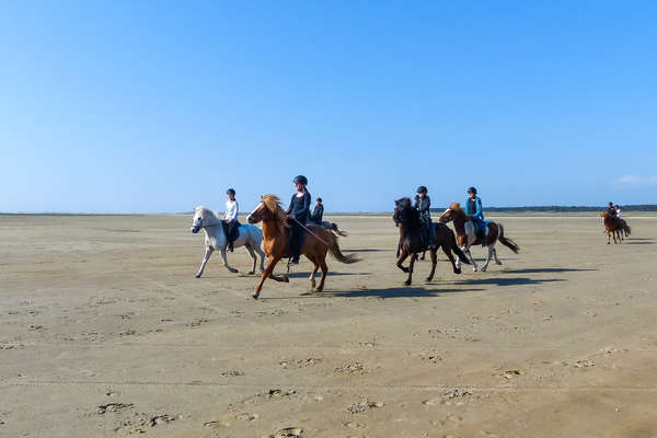 A cheval sur l'île de Romo