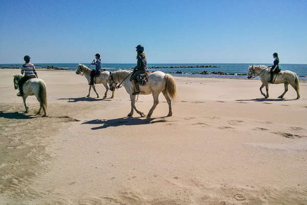 A cheval sur une plage de Camargue