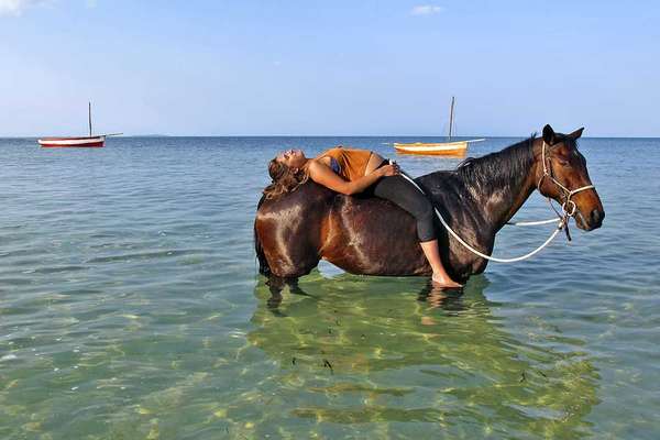 Cheval de randonnée dans l'eau