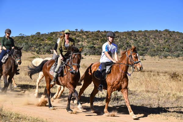 Afrique du Sud à cheval