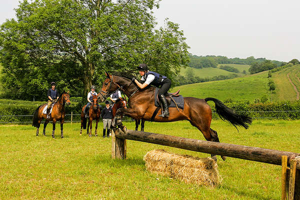 Angleterre et cavaliers