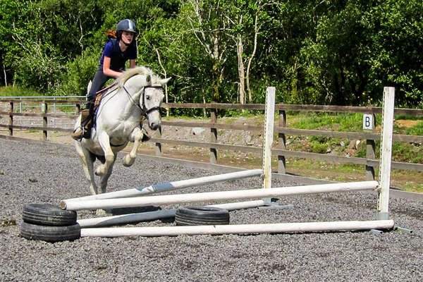  cheval et stage linguistique en Irlande