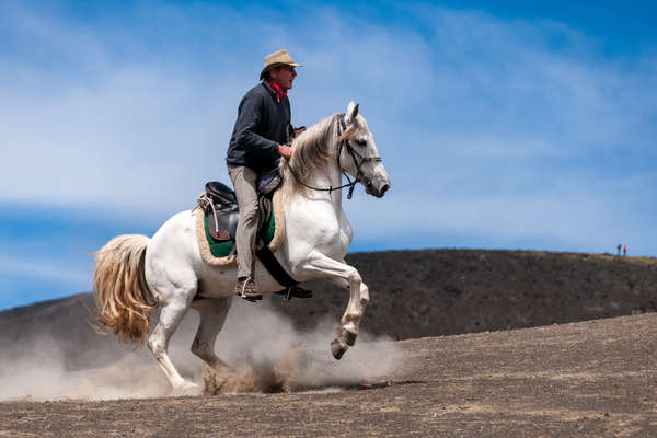 Au cœur des Açores à cheval