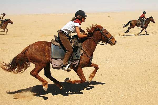 Chevaux au galop en Namibie