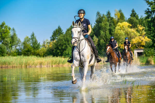 Au galop dans l'eau