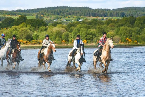 Au galop dans les eaux irlandaises