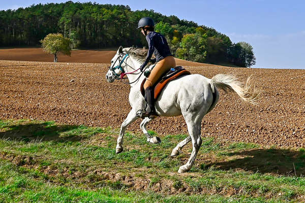 Au galop en Bourgogne