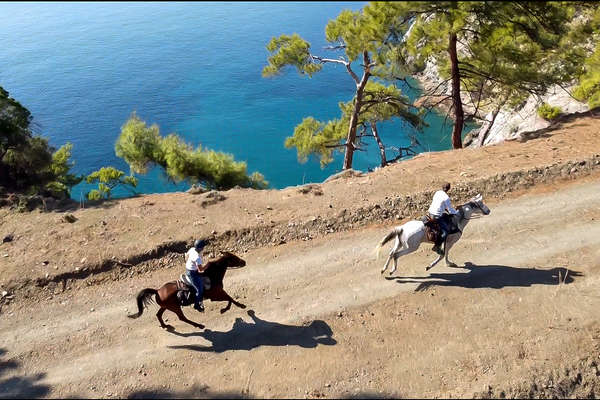 Au galop sur les pistes de bord de mer