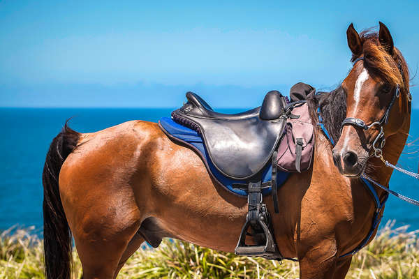 Australie à cheval