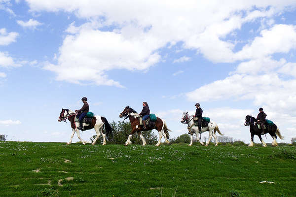 baie de Somme à cheval