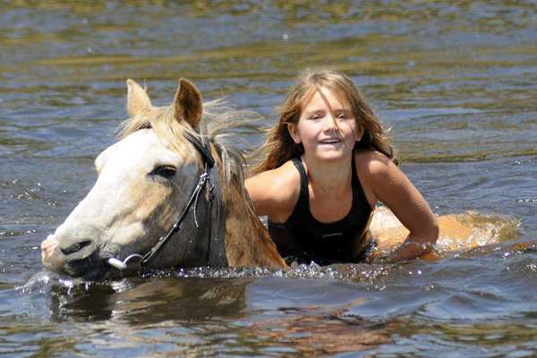 Bain et Cheval en Afrique du sud