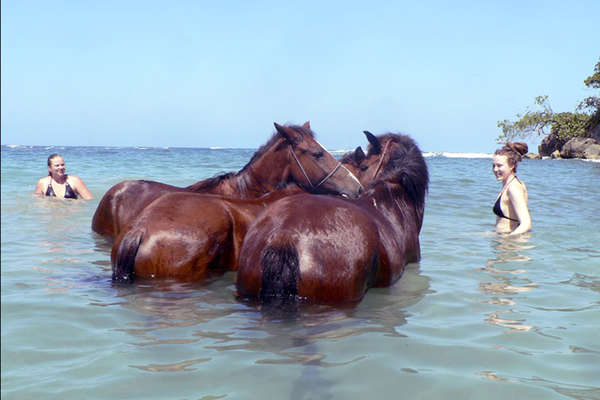 Chevaux et baignade en République Dominicaine