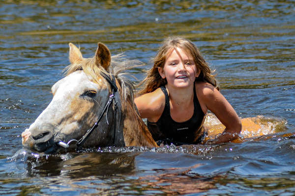 Baignade avec les chevaux en Afrique du Sud