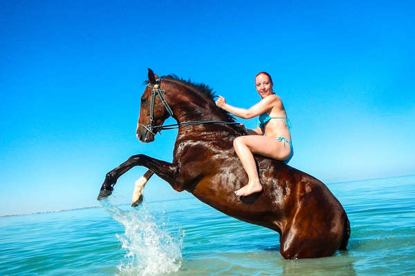 Baignade avec les chevaux en Egypte