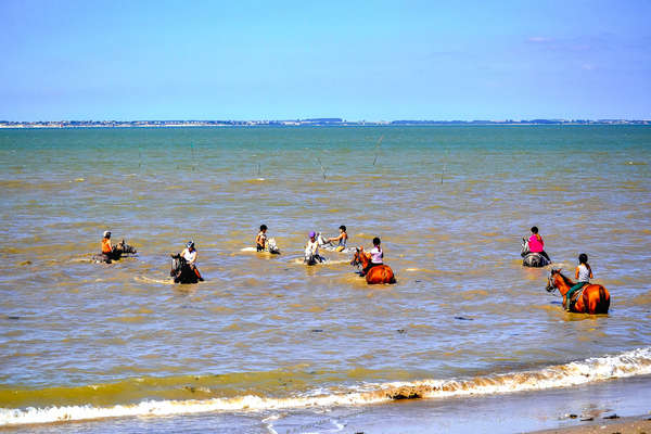 Baignade dans l'Atlantique