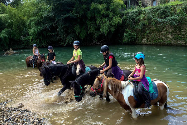 Stage et cheval dans les Pyrénées