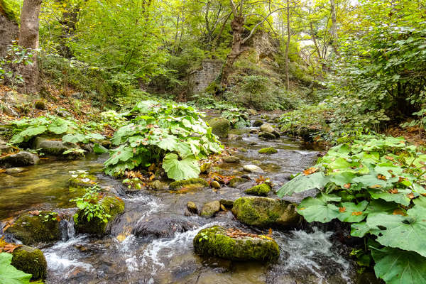 Ballade équestre en Bulgarie