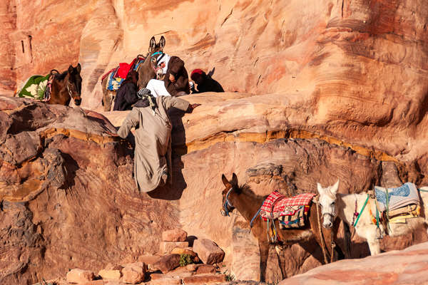 Bedouins de Petra avec leurs ânes et chevaux