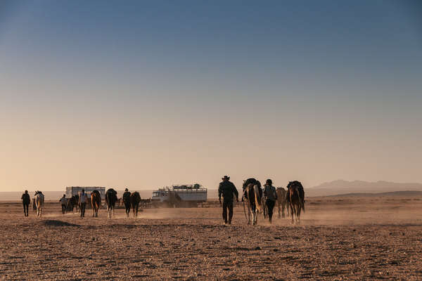 Bivouac équestre en Namibie