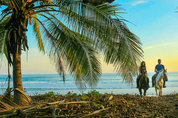 Bord de mer à cheval au Costa Rica