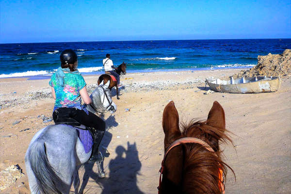 Bord de mer à cheval en Egypte