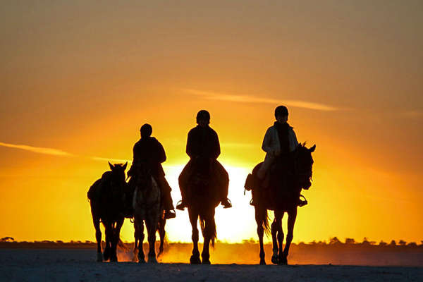 Botswana à cheval