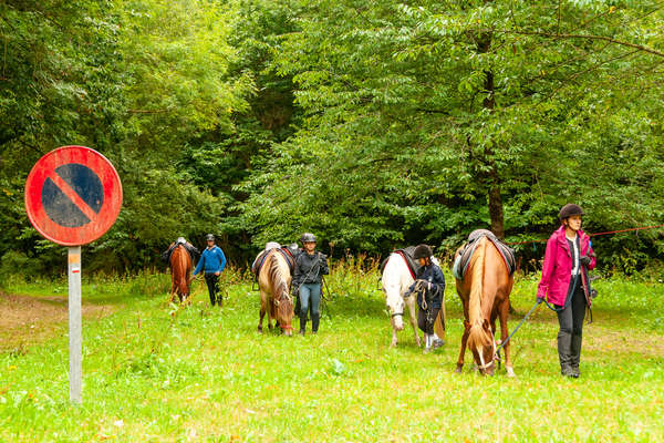 Bretagne à cheval