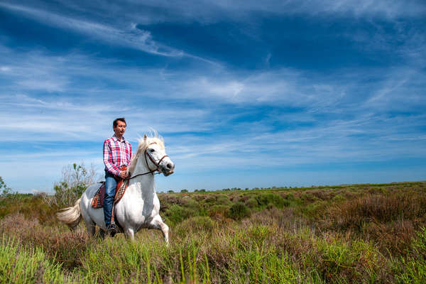 Camargue à cheval